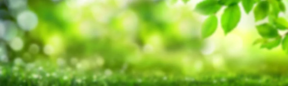 MotorLand: Profi-Gartentechnik seit 26 Jahren