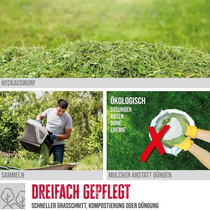 Vorschaubild 6