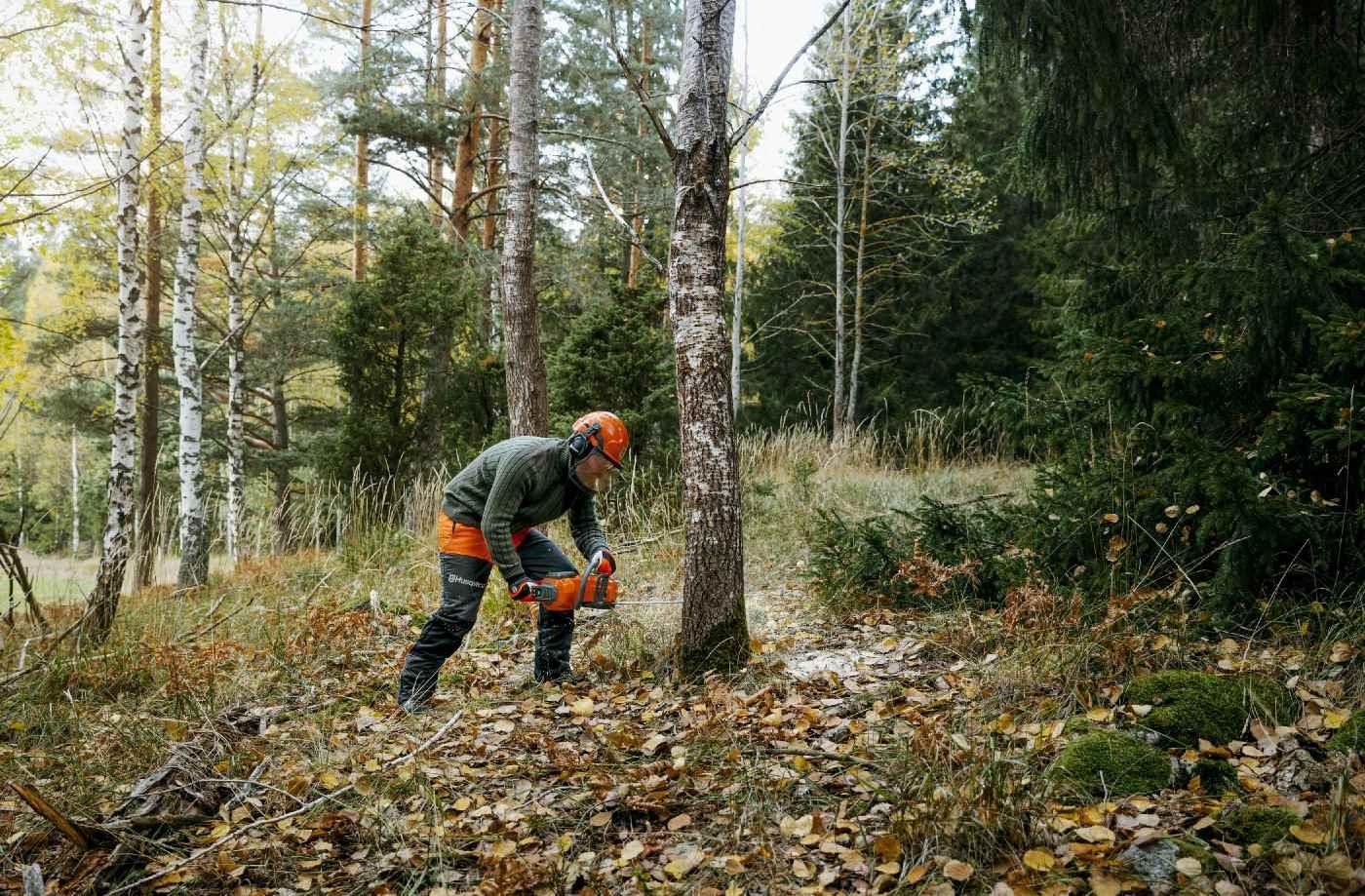 Vorschaubild 5