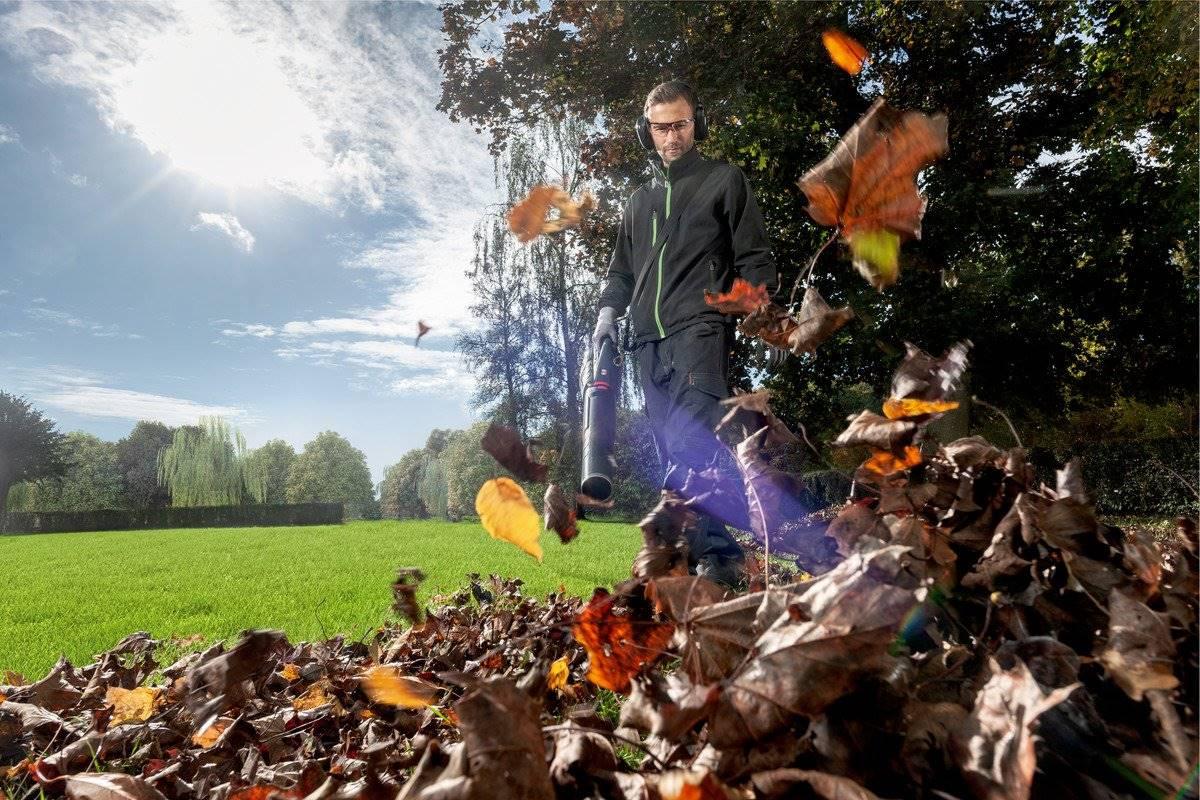 Vorschaubild 4