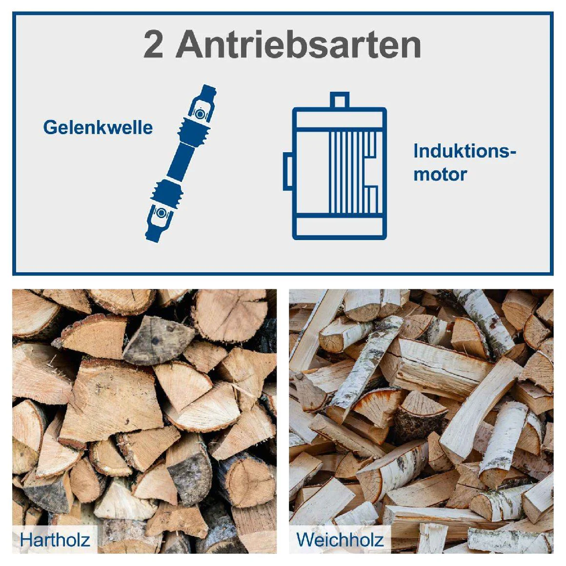 Vorschaubild 8